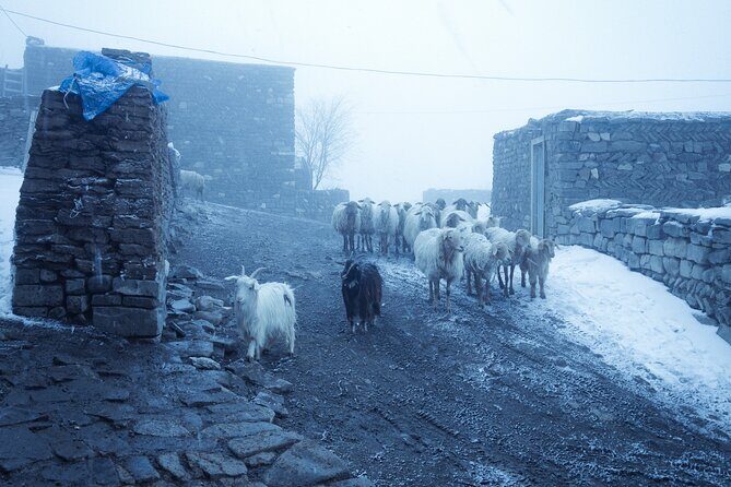 3-Day Hiking & Trekking Tour Remote Villages in Guba Azerbaijan - Fitness, altitude, and what “moderate” means in real life