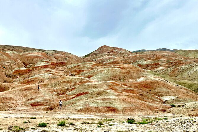 A Full Day Adventure: Khinalug, Guba & Candy Mountains Tour - Qechresh Forest: coffee/tea break and local honey shopping