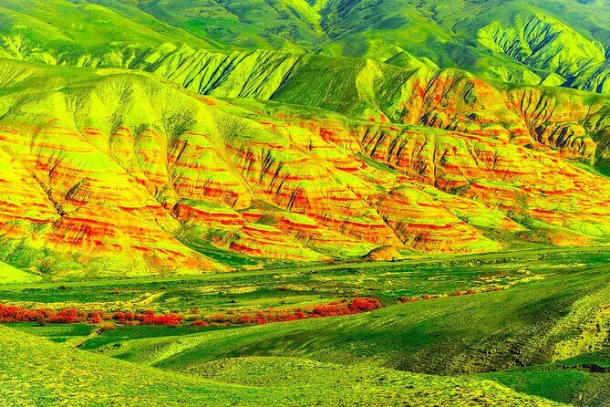 A Full Day Khinalug, Guba and Candy Mountains Private Your - Stop 3: Qechresh Forest—The Easiest Way to Feel the Mountains