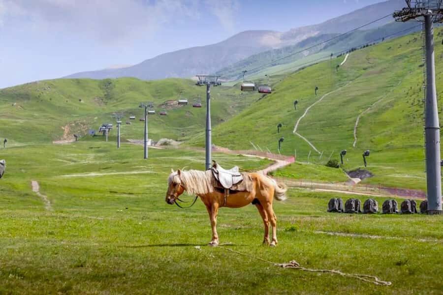Baku: Guba, and Shahdag Adventure - Candy Cane Mountains and Shahdag: your main view payoff