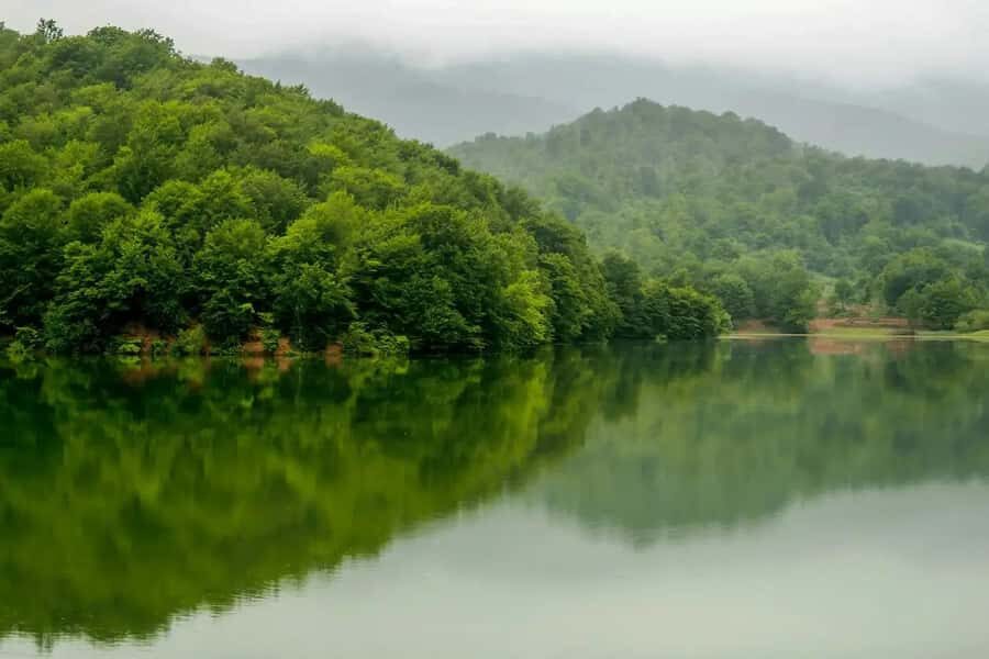 Baku: Guba, and Shahdag Adventure - Beshbarmaq and Gachrash Forest: where the day slows down