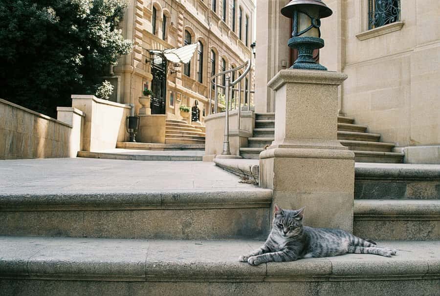 Baku Old City Wonders: A Walking Tour Through Time - Price and Value: Is $30 for 2 Hours a Smart Spend?