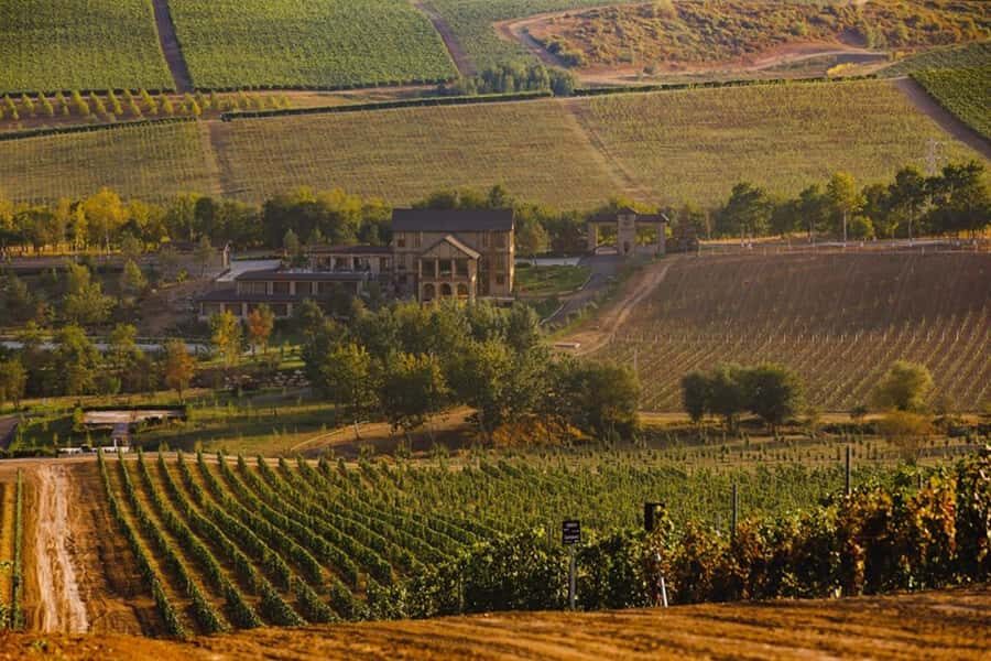 Baku: Organic Winery Tour in Shamakhi with Local Lunch - A winery built for organic production: what the 2018 facility changes