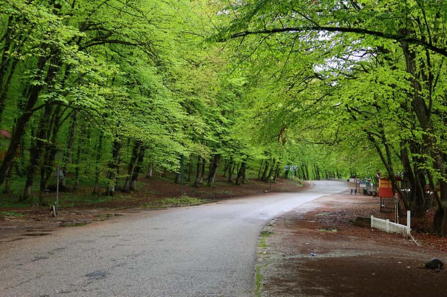 Baku: Quba Khinaliq Group Tour, Free Gobustan Absheron Tour - Gachrash Forest Break: Leisure Time That Helps You Reset