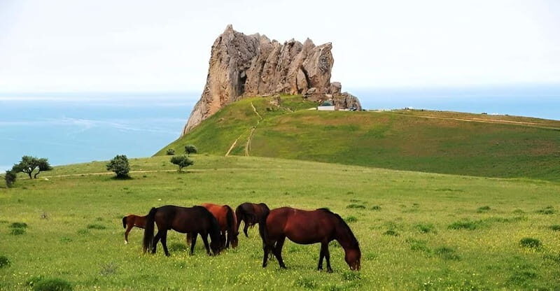 Baku:Guba,Shahdag and Candy Cane Mountain Lunch included - A Full-Day Route With Real Variety From Guba
