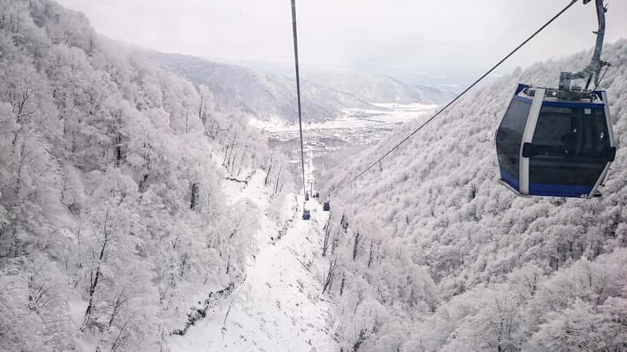 From Baku: Gabala and Shamakhi Nature Tour - Group Size and Comfort: Small-Group Options Help