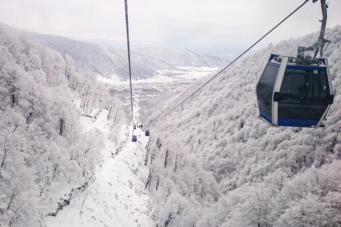From Baku: Gabala Day Trip - Why Gabala fits as a day trip from Baku