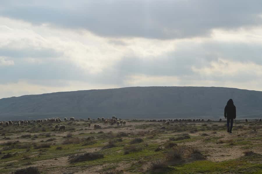 Gobustan, Mud Volcano, Burning Land and Fire Temple Tour - Key Things to Know Before You Go