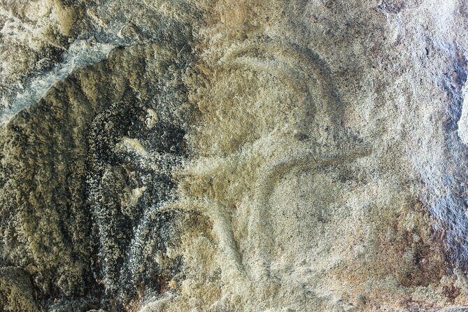 Gobustan, Mud volcanoes, Fire temple, Fire mountain PRIVATE TOUR - Is it worth $79 per person?