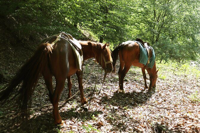 Horseback Riding in Azerbaijan - Price and Value: What $229 Buys You