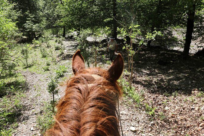 Horseback Riding in Azerbaijan - Riding Through the River and Dense Forest