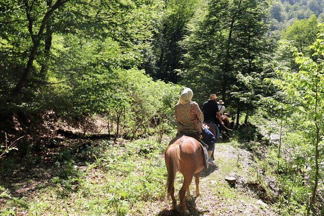 Horseback Riding in Azerbaijan - No Bottle Needed: Mountain Water and the Small Win