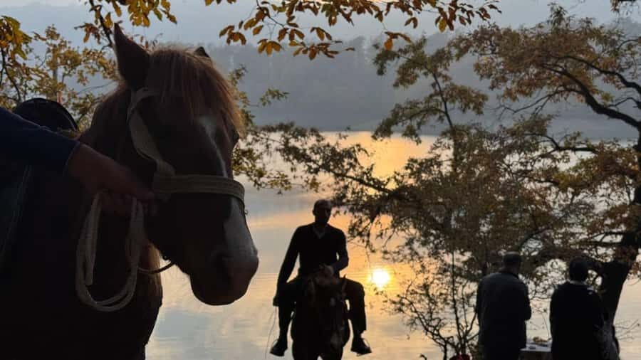 Longevity Secrets of Azerbaijan: Lankaran & Astara tour - Lankaran and Astara: why the scenery and culture shift fast