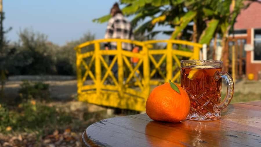 Longevity Secrets of Azerbaijan: Lankaran & Astara tour - The City Bazaar (Böyük Bazar): where you eat first, ask questions second