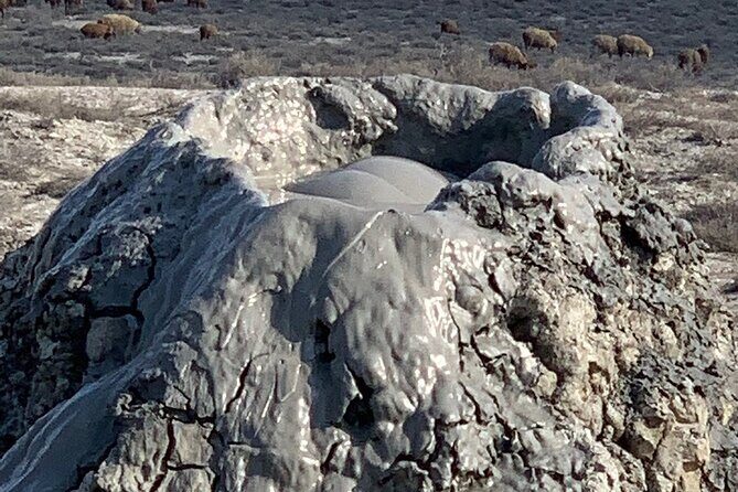 Mud Volcanoes & Gobustan Private Tour - Price and value: what’s included in the $108 and what costs extra