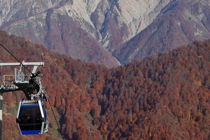 Private Gabala Shamakhi Tour - Nohur Lake: forest time and easy outdoor options