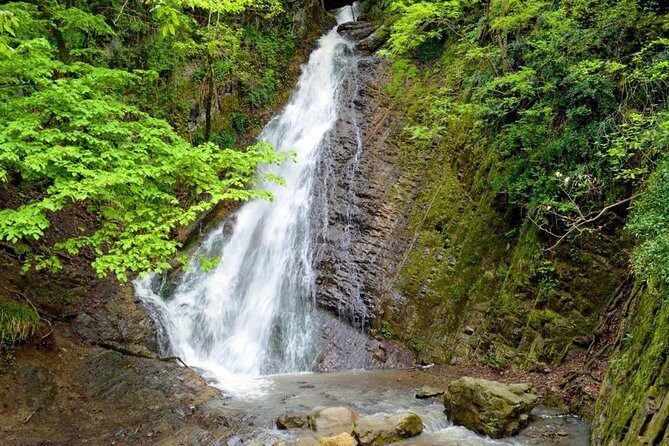 Private Gabala Tour - Why Gabala feels like a different day from Baku