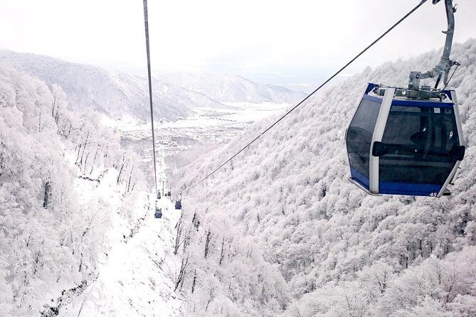 Private Gabala Tour - Price and value: what you’re really paying for