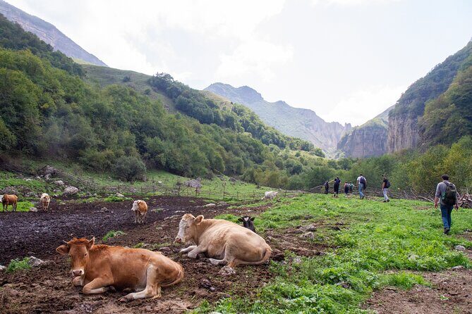 Private Hike through Magic Valley to Laza waterfalls - Laza village at 1800 m: dinner, quiet, and real mountain life