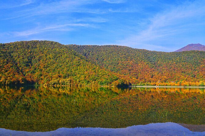 Shamakhi And Gabala Tour (All inclusive) - Goychay Forest Lunch Break: Food, Tea Party, and Breathing Room