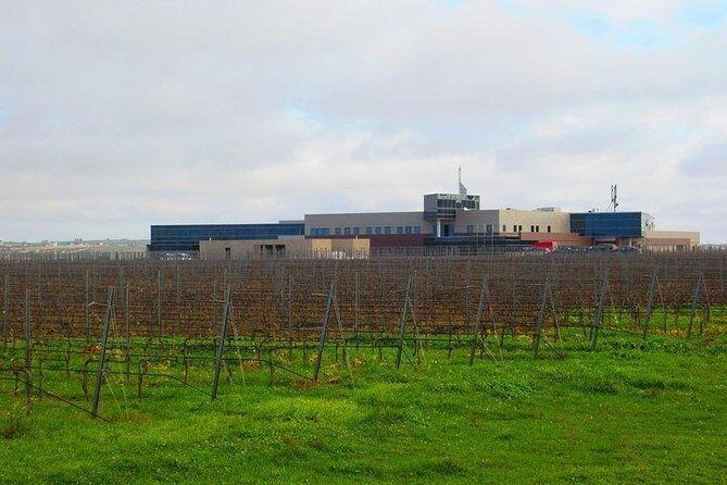 Wine Tour Baku - Snacks Included: Why the Food Choice Improves the Whole Tour