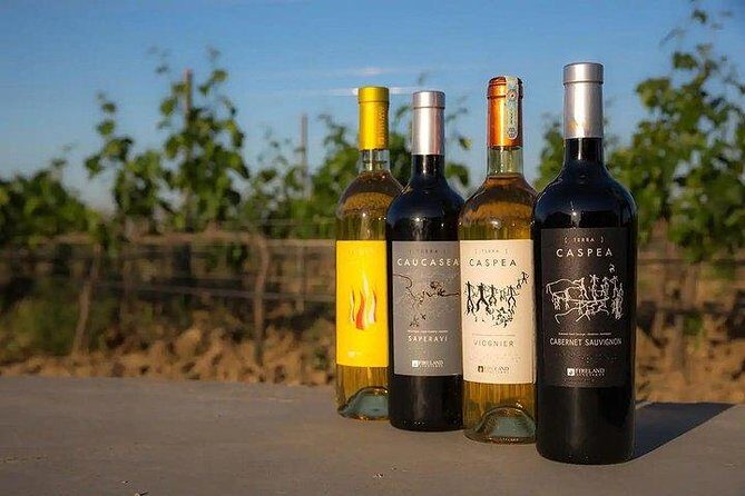 Wine Tour Baku - Meet Nasimi (and Yardigar): Friendly Hosting With Real Purpose