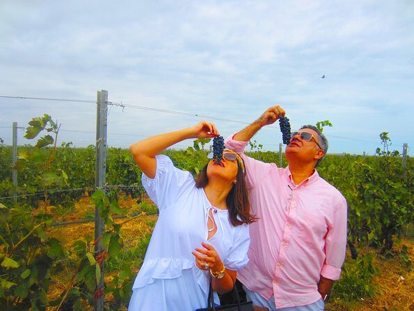 Wine Tour Baku - Getting There: Free Pickup and a No-Fuss Minivan