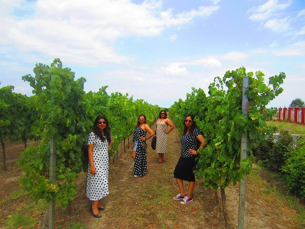 Wine Tour Qabala with Local Lunch - Nohur Lake tea and baklava: a short scenic reset